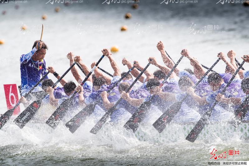 湖南龍船比賽視頻觀看與體驗(yàn)指南，精彩瞬間一網(wǎng)打盡！