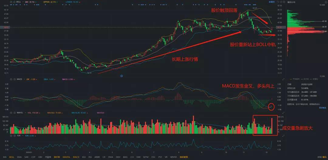 歌爾股票，小巷深處的隱藏寶藏揭秘，特色小店的股市奇妙之旅