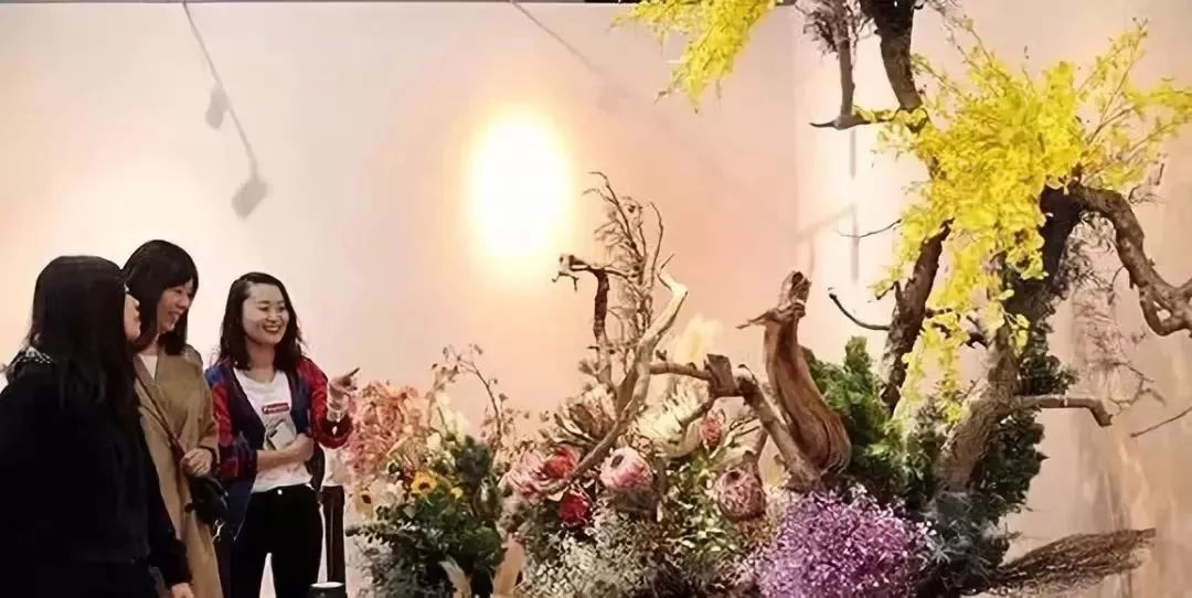 納蘭靜語最新現(xiàn)代作品——智能生活新紀(jì)元，科技重塑未來體驗的魅力