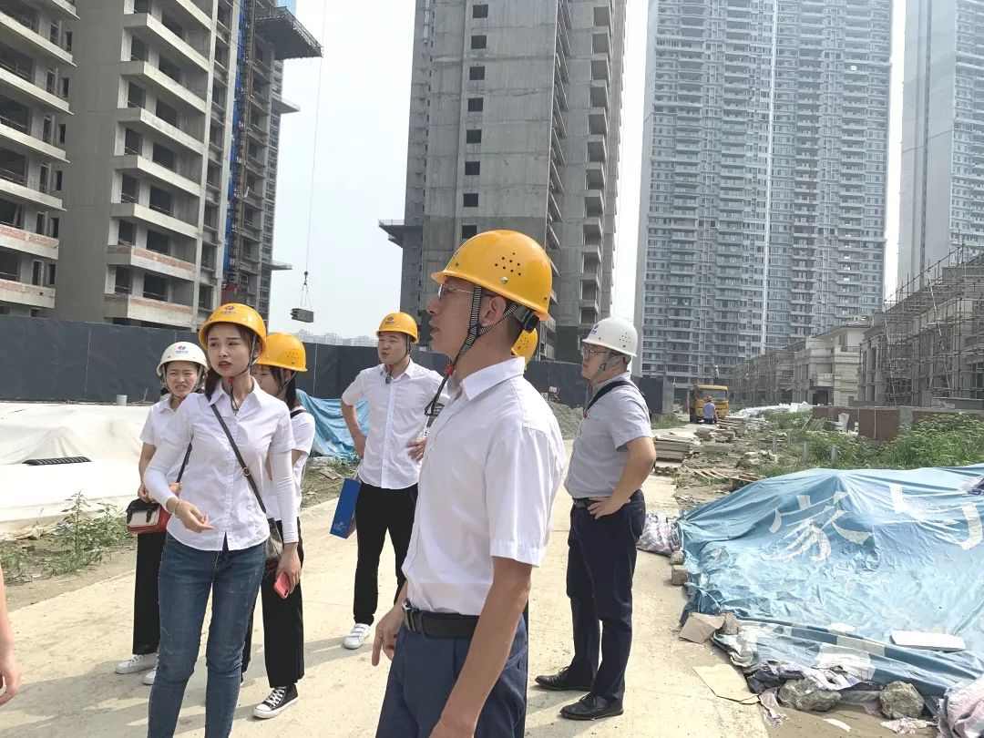 成都洺悅府最新動態(tài)揭秘，科技府邸，未來生活搶先體驗