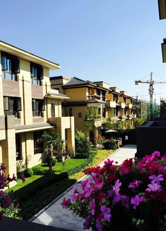 寶格麗小鎮(zhèn)最新資訊，學(xué)習(xí)變化，自信閃耀，共創(chuàng)美好未來成就