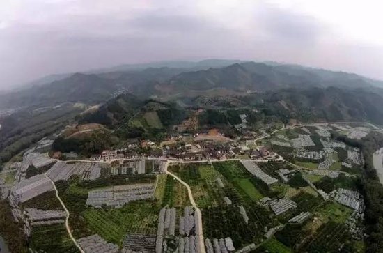 廣西昭平最新資訊，高科技產(chǎn)品引領未來，提升生活品質(zhì)