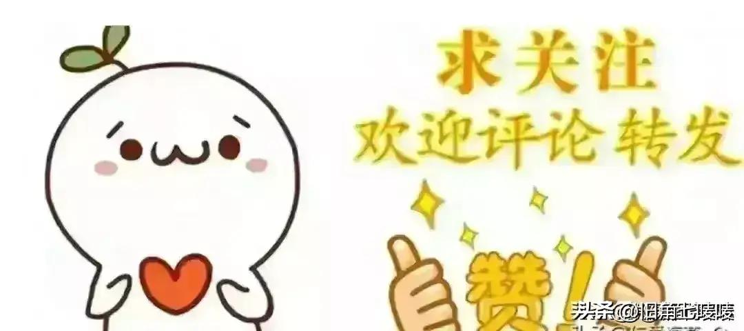 "2024全年資料免費(fèi)大全功能"的:執(zhí)行機(jī)制評估_用心版4.76