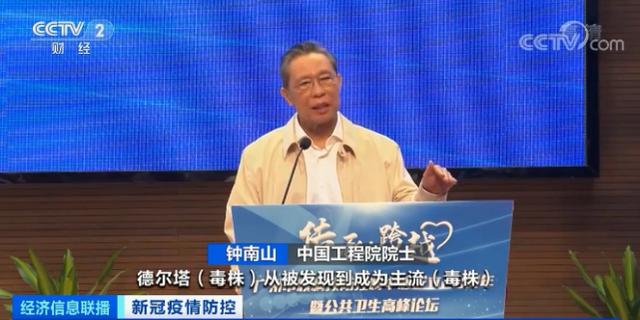 海航系最新動態(tài)深度解析與觀點論述