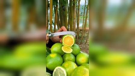 平湖最新資訊，城市脈動(dòng)與成長(zhǎng)見證