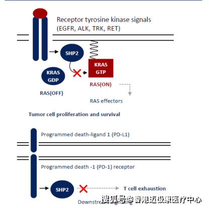 ＂WW777766香港開(kāi)獎(jiǎng)記錄查詢2023＂的：深入探討方案策略_實(shí)驗(yàn)版3.98