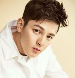 方齊苗最新個(gè)人資料揭秘，個(gè)人信息獲取與整理步驟指南