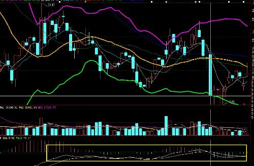 波動行情與內(nèi)心寧靜的探索之旅，自然美景下的心靈對話