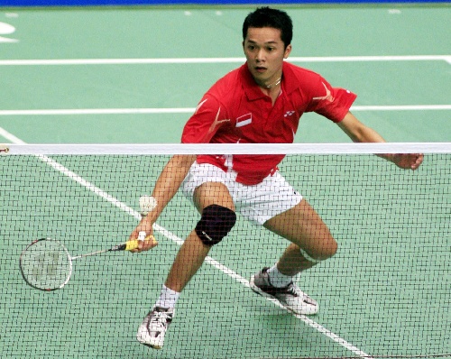 陶菲克羽毛球比賽視頻，觀看與學(xué)習(xí)指南