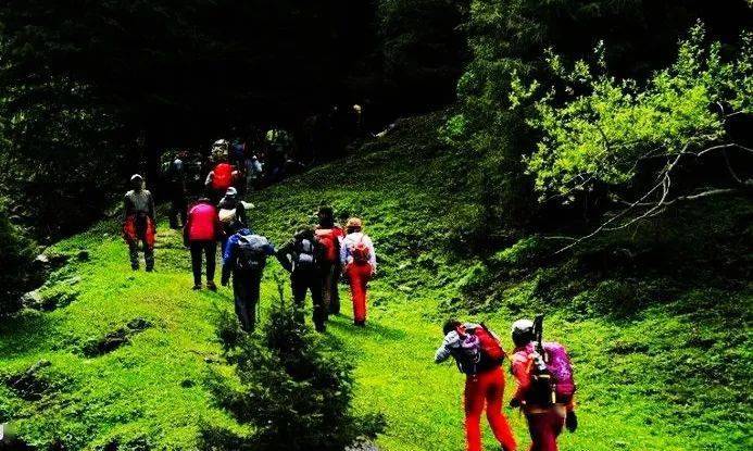 最新后峽動(dòng)態(tài),最新后峽動(dòng)態(tài)，發(fā)展與變化的深度探索