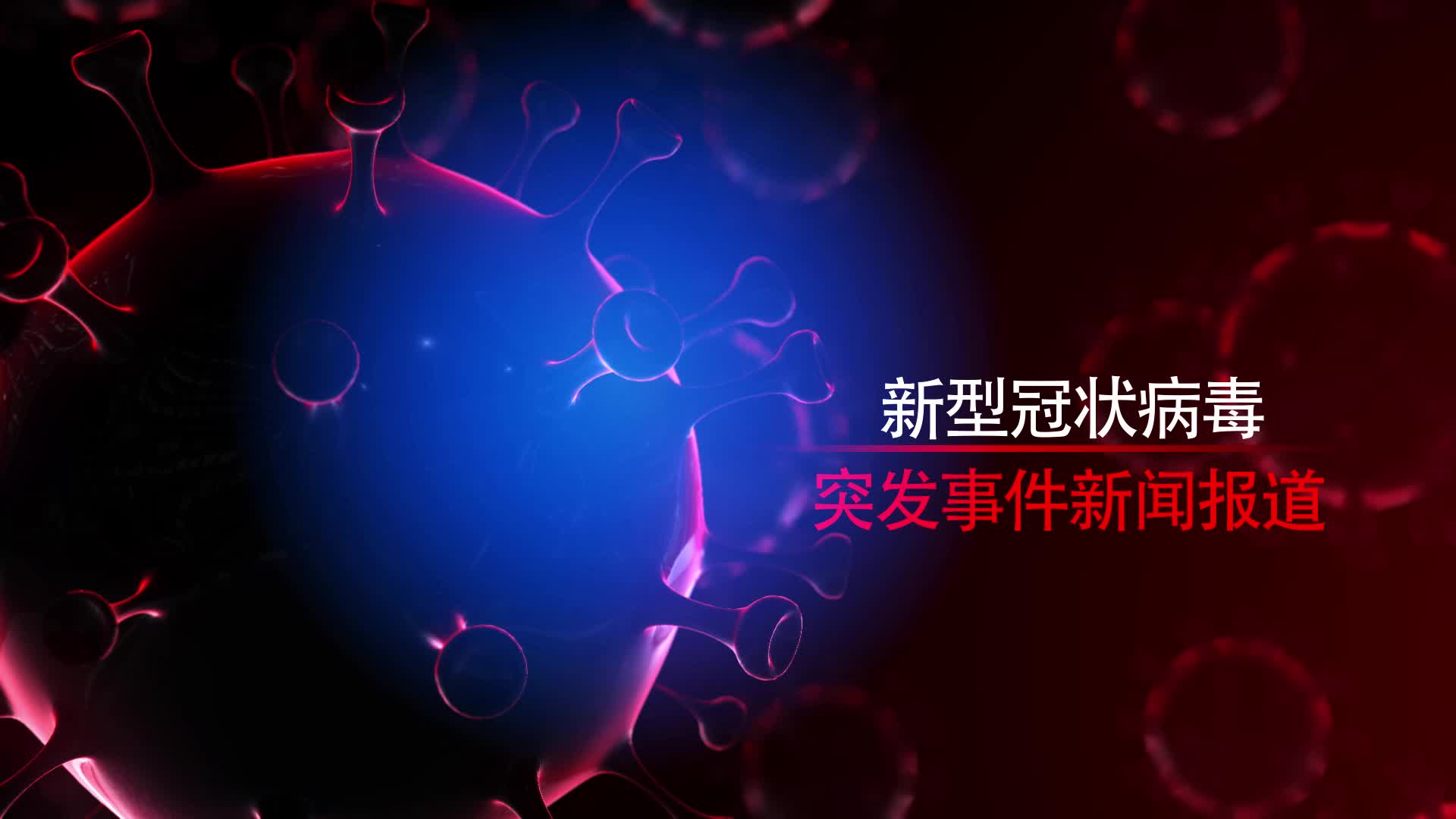 最新病毒動態(tài)與小巷深處的獨特風味