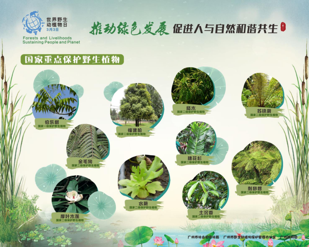 ＂0149開獎(jiǎng)澳門網(wǎng)＂的：植物保護(hù)_見證版3.37