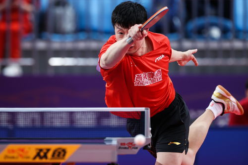 中國乒乓球明星的奮斗與榮耀，見證自信成就的力量之路