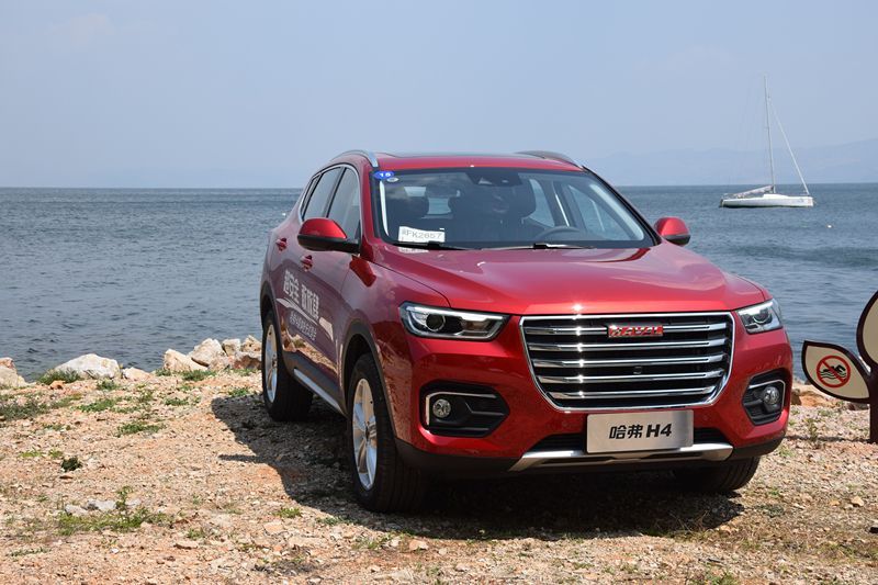 哈佛最新，自然美景治愈之旅探索