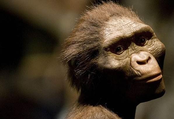 最新人類研究動(dòng)態(tài)的深度解析與觀點(diǎn)闡述