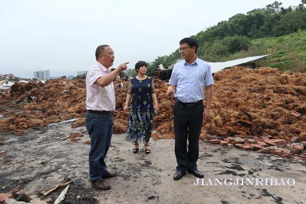 珞璜工業(yè)園規(guī)劃更新啟動(dòng)，重塑產(chǎn)業(yè)生態(tài)藍(lán)圖