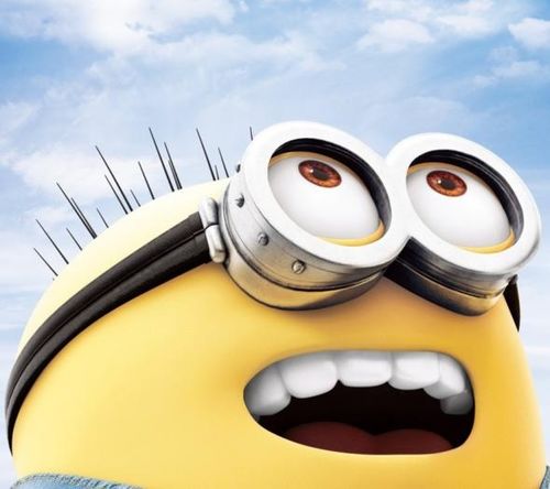 湖南下司犬最新上市，市場現(xiàn)象及各方觀點(diǎn)深度解析