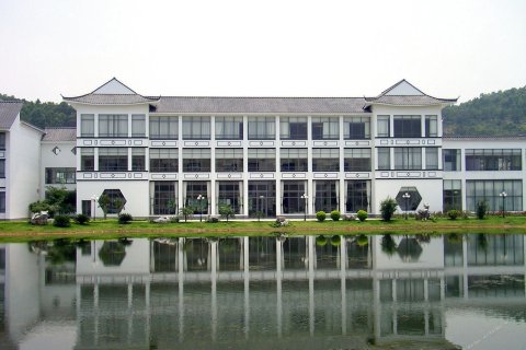 廣州南沙資訊，小巷深處的獨特風情