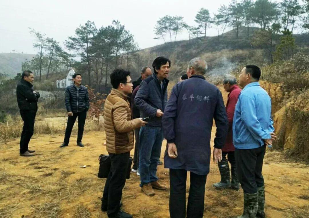 金牌調(diào)解精選，心靈與自然的完美邂逅