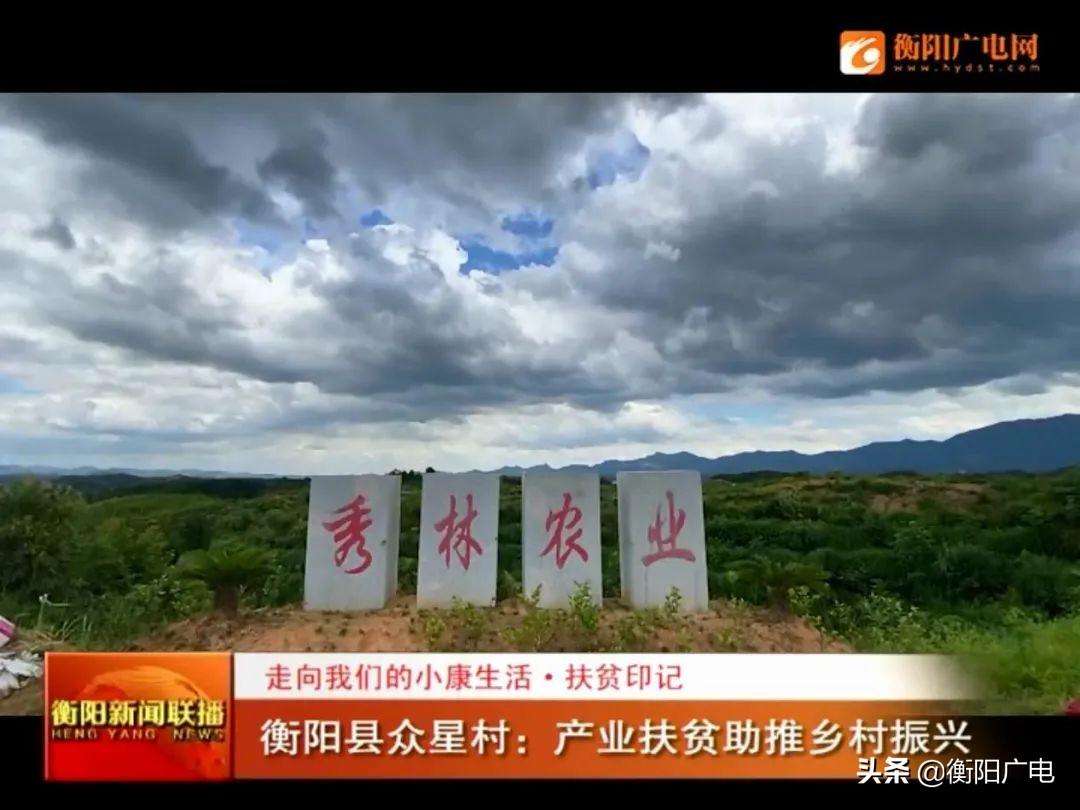 衡陽縣關(guān)市鎮(zhèn)最新資訊，學習變化帶來的自信與成就感提升