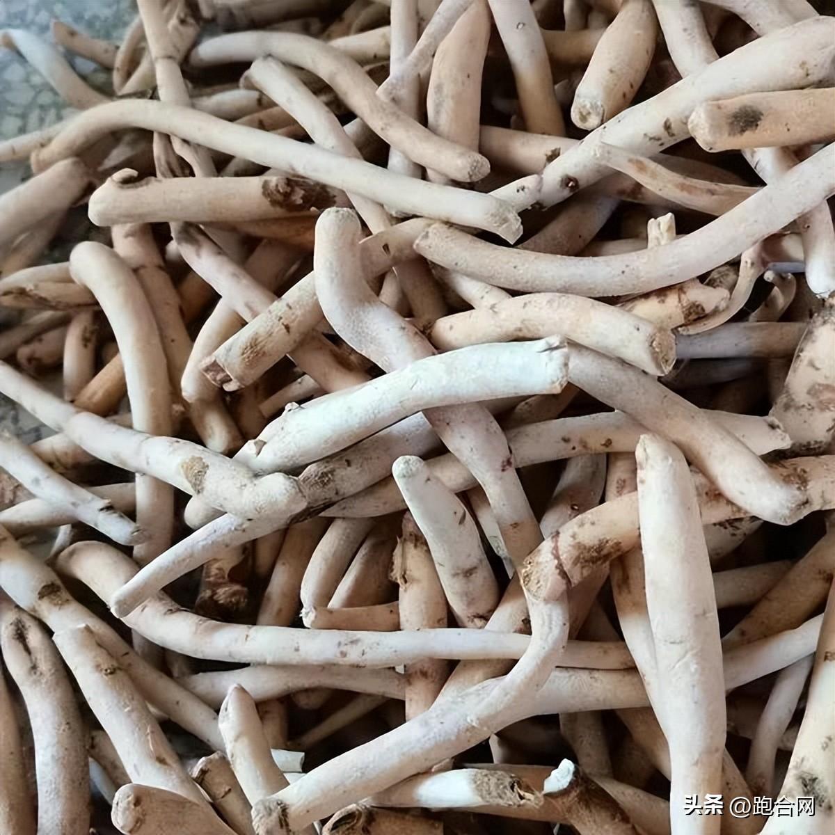 毫州藥材最新價格表，學習變化，成就自信之源