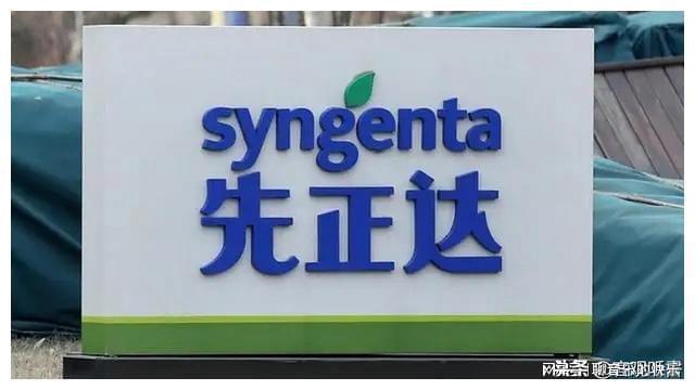 先正達(dá)國(guó)內(nèi)上市,先正達(dá)國(guó)內(nèi)上市，機(jī)遇與挑戰(zhàn)并存