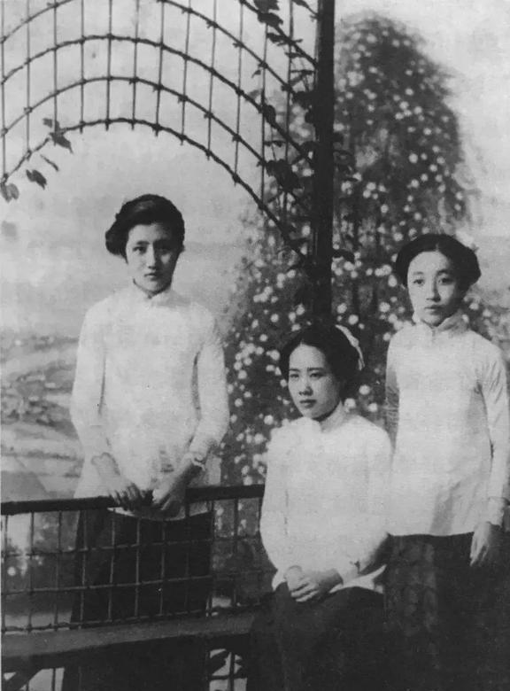 董竹君電視劇,董竹君電視劇，歷史與藝術(shù)的融合呈現(xiàn)