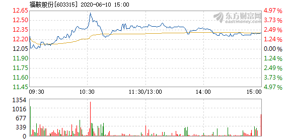 福鞍股票,福鞍股票——投資者的明智之選，開啟財富新篇章！