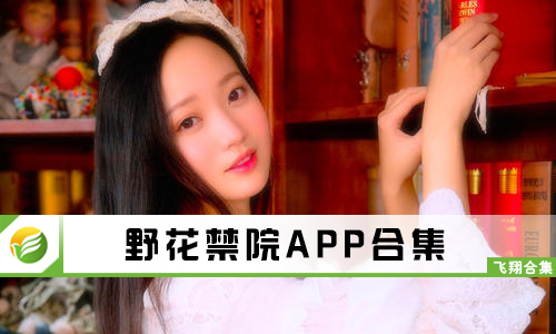 野花最新網(wǎng)址，網(wǎng)絡(luò)時(shí)代的獨(dú)特風(fēng)景探索