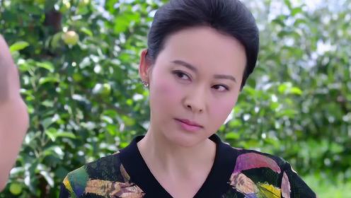 雙喜盈門演員，星光熠熠下的演技璀璨展現(xiàn)