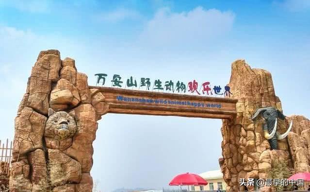 伊濱區(qū)最新規(guī)劃與小巷深處的獨(dú)特魅力探索