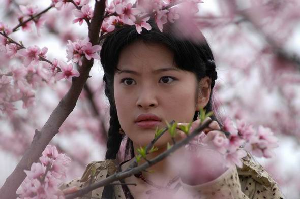 桃花源記電視劇觀看與理解指南，劇情解析與深度體驗步驟分享