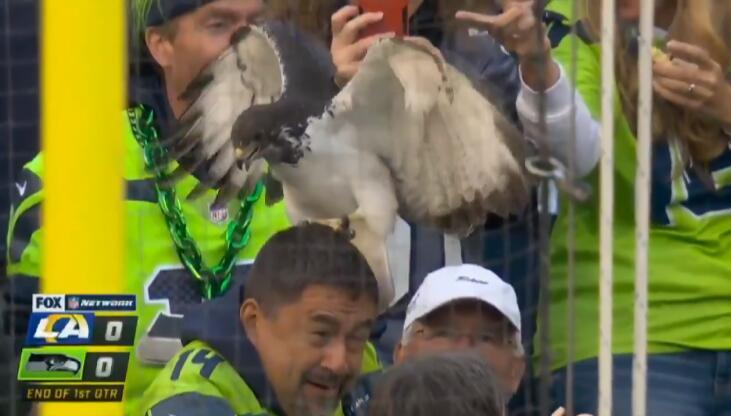 比賽吉祥物，自信與成就感的象征標(biāo)志