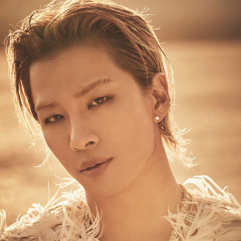 揭秘明星太陽的魅力與重要性