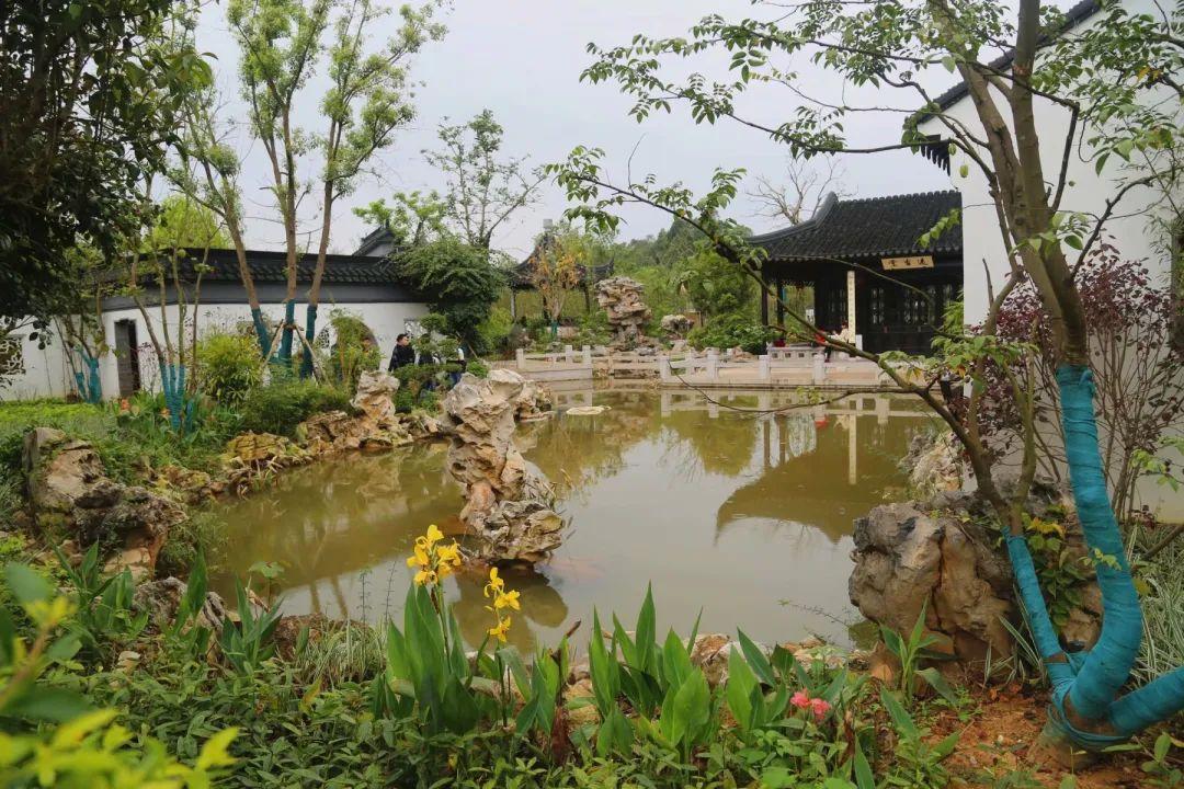 南寧園搏園最新動態(tài)揭秘，游園攻略與技能學習指南