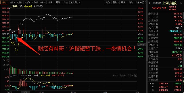 財(cái)?shù)佬星榉治雠c操作指南，初學(xué)者與進(jìn)階用戶的必備指南