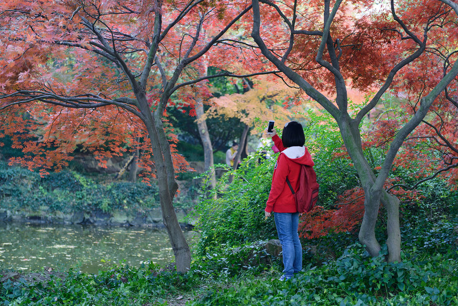 秋霞精選，電影藝術(shù)的獨(dú)特魅力及其深遠(yuǎn)影響