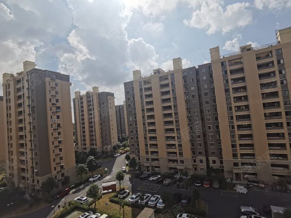 佘山松和苑最新動態(tài)，全面了解與掌握最新資訊