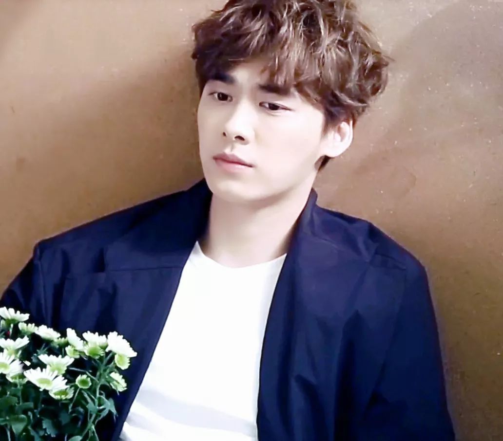 有耳鳴的明星,有耳鳴的明星，探索自然美景之旅，尋找內心的寧靜與平和