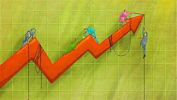 證金公司股票動(dòng)態(tài),證金公司股票動(dòng)態(tài)，一場(chǎng)自然美景的探索之旅