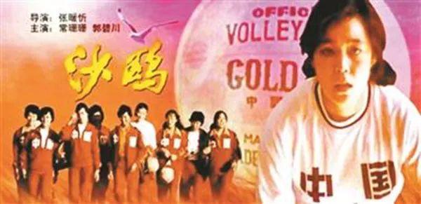 沙鷗電影,沙鷗電影，一種藝術表達方式的深度探討