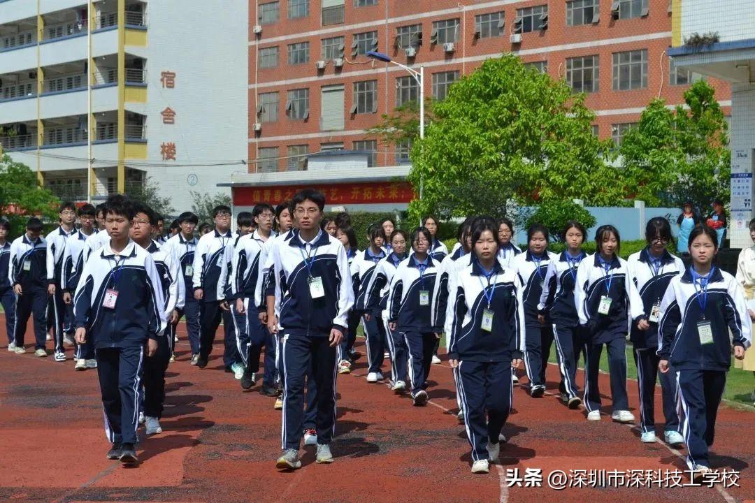 深寶安股票行情解析，前景分析與投資洞察