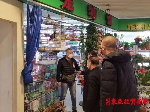 探索自然美景之旅，揭秘2017鷯哥銷售最新資訊，尋找內心的平靜與喜悅