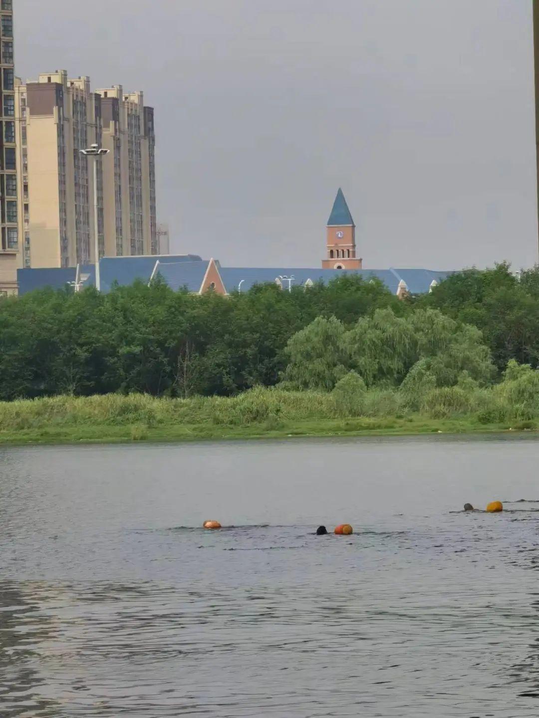 最新野泳之旅，自然美景的探索與愉悅體驗