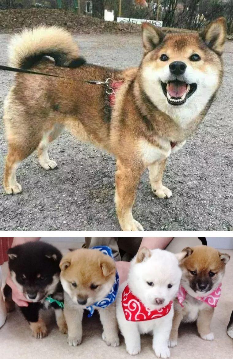 東京時(shí)尚風(fēng)向標(biāo)，探索日本最新潮流資訊