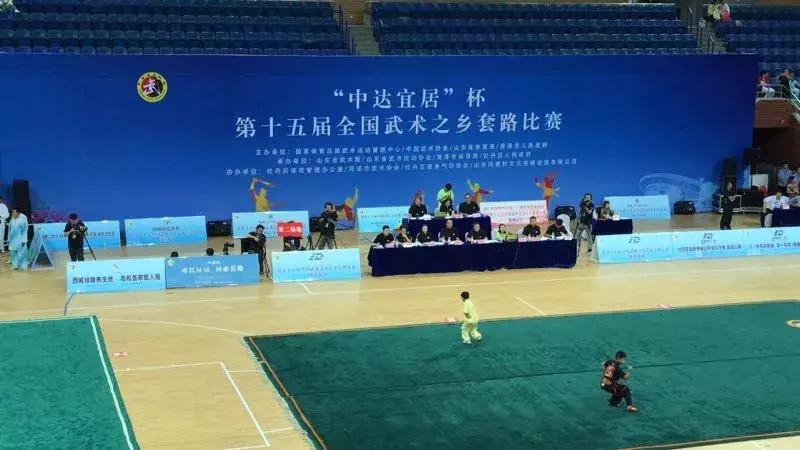 山東武術(shù)大賽，傳承與榮耀的盛宴，展現(xiàn)武術(shù)風(fēng)采的盛事！