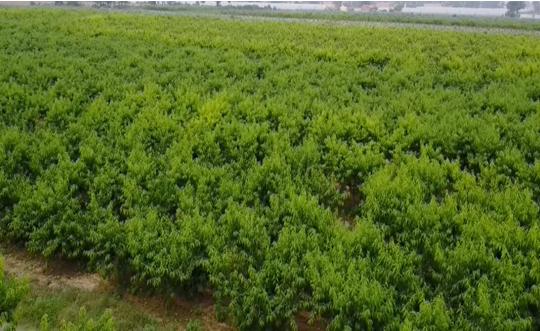 富平最新轉(zhuǎn)讓信息，變化中的機遇，成就感的源泉，自信閃耀時刻