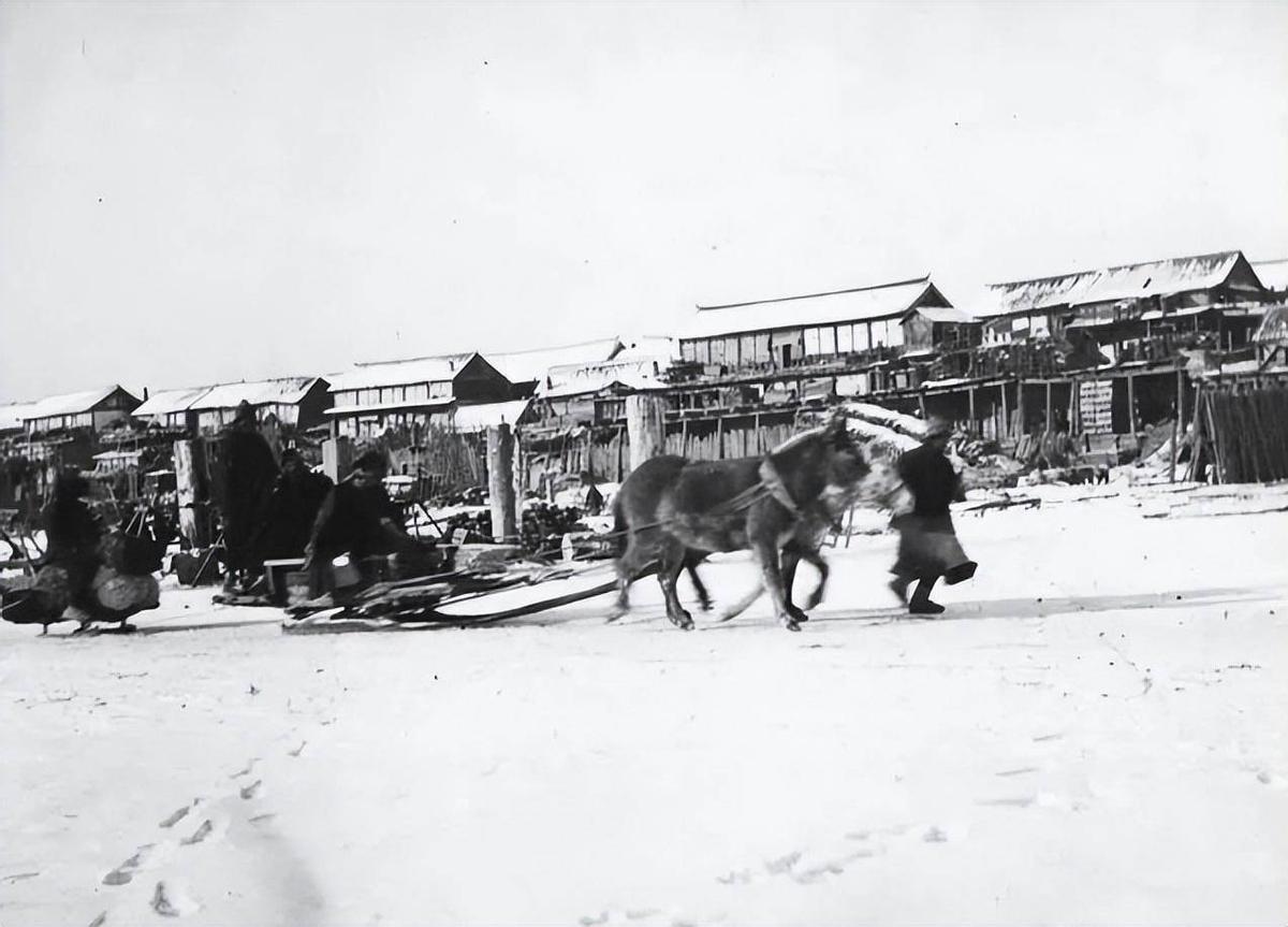 女性剃光頭背后的故事探秘