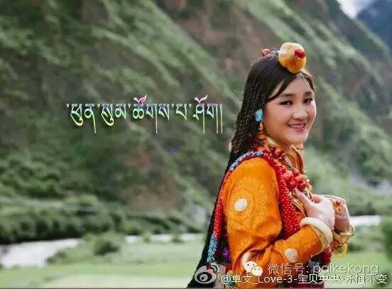 最新藏族音樂精選合集