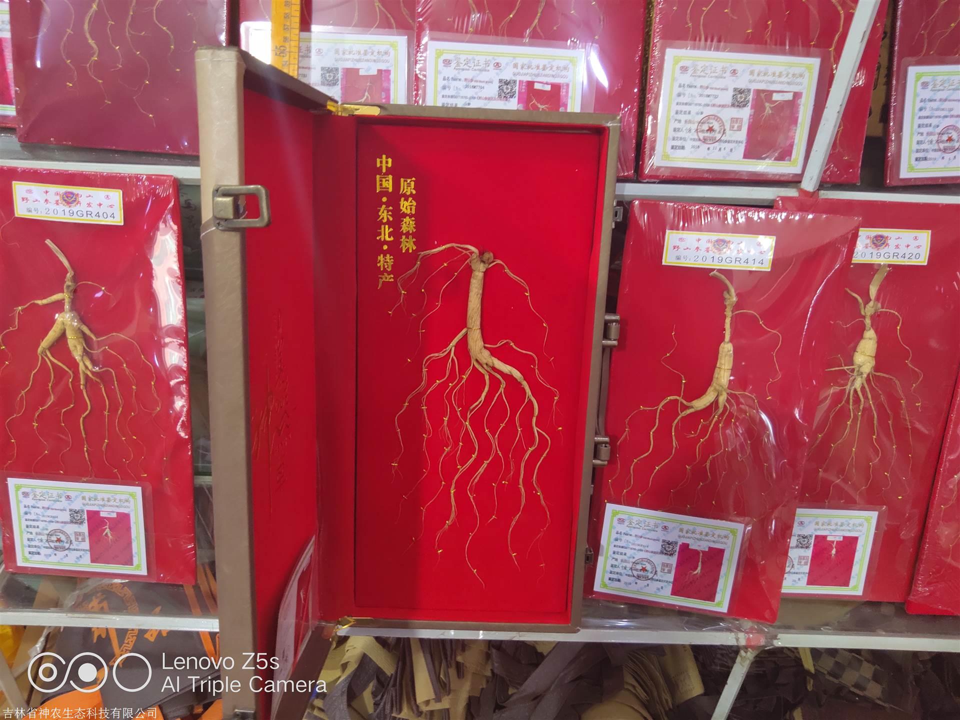 人參價格解析，市場走勢、品質差異及影響因素深度探討